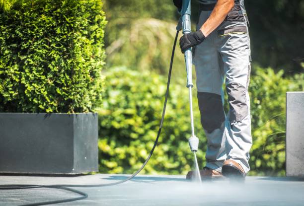Pre-Holiday Cleaning in North Middletown, NJ